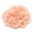 099-ROSA SALMON