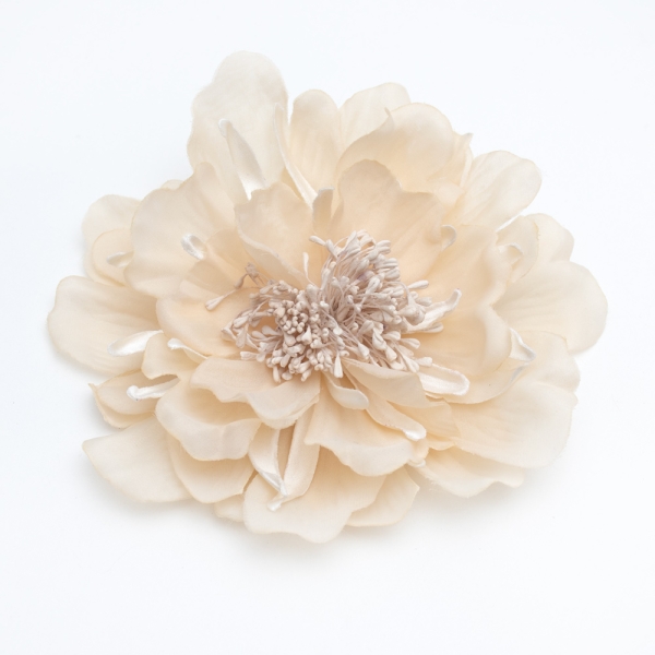 Flor Sonia - 058-CHAMPAN
