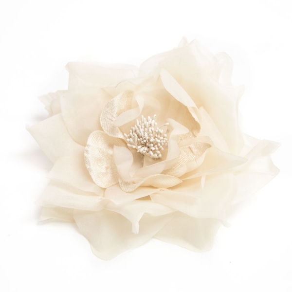 Flor Belisa - 058-CHAMPAN