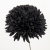 001-NEGRO