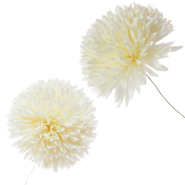 Flor Sachi - 003-CRUDO