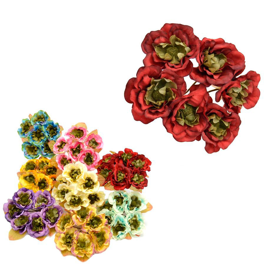 Flor Casandra