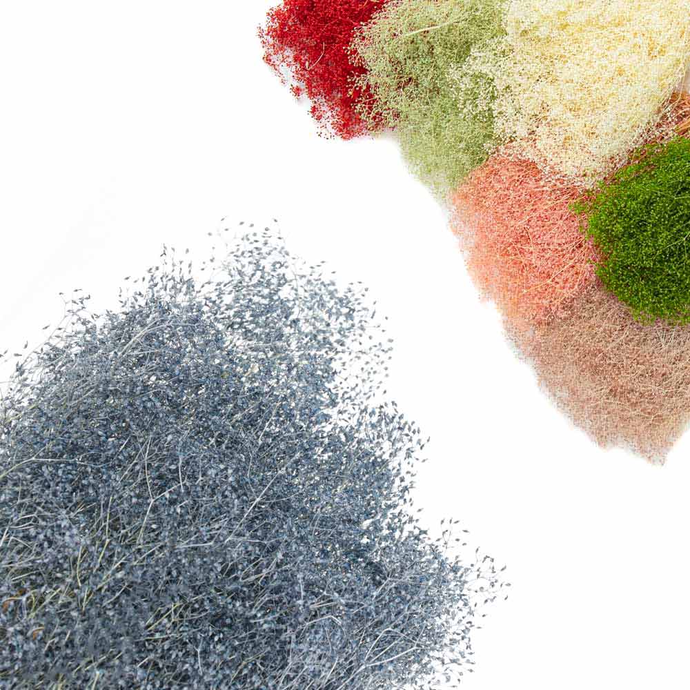 Gypsophila Mini Preservada