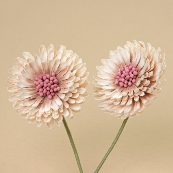 FLOR GERBERA, 2 unidades - 533-CRUDO & NUDE