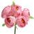 091-ROSA