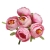 703-ROSA BEBE & ROSA