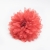 075-CORAL