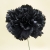 001-NEGRO