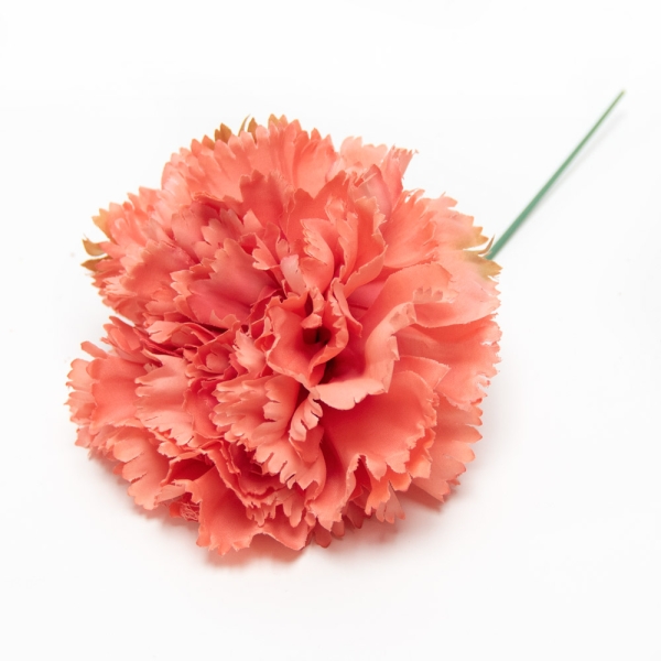 Clavel de Feria - 075-CORAL