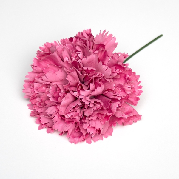 Clavel de Feria - 091-ROSA