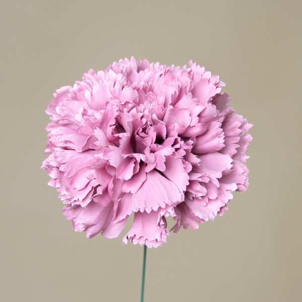 Clavel de Feria - 105-ROSA EMPOLVADO