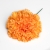 203-YEMA