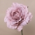 102-ROSA VINTAGE