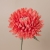 081-CORAL NARANJA