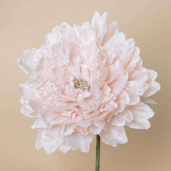 Flor Flamenca Peonia - 026-BEIGE