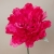 108-FUCSIA