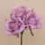 092-ROSA MAQUILLAJE