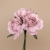 102-ROSA VINTAGE