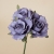 132-MORADO