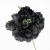 001-NEGRO