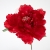 070-ROJO