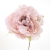 105-ROSA EMPOLVADO