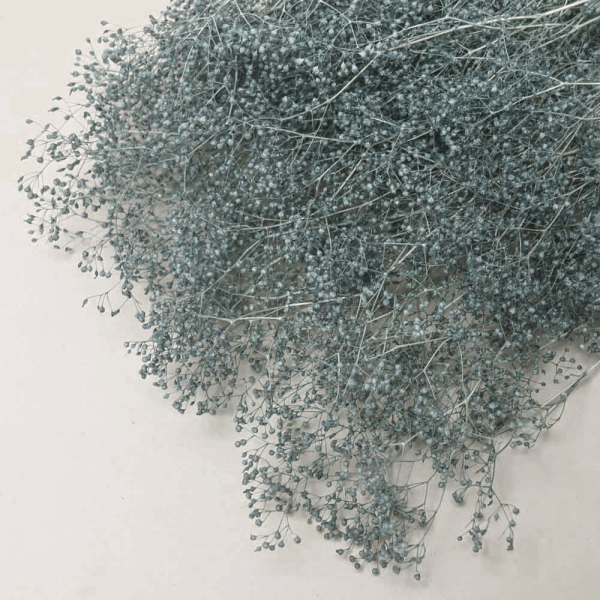 Gypsophila Mini Preservada - 154-AZUL OXFORD