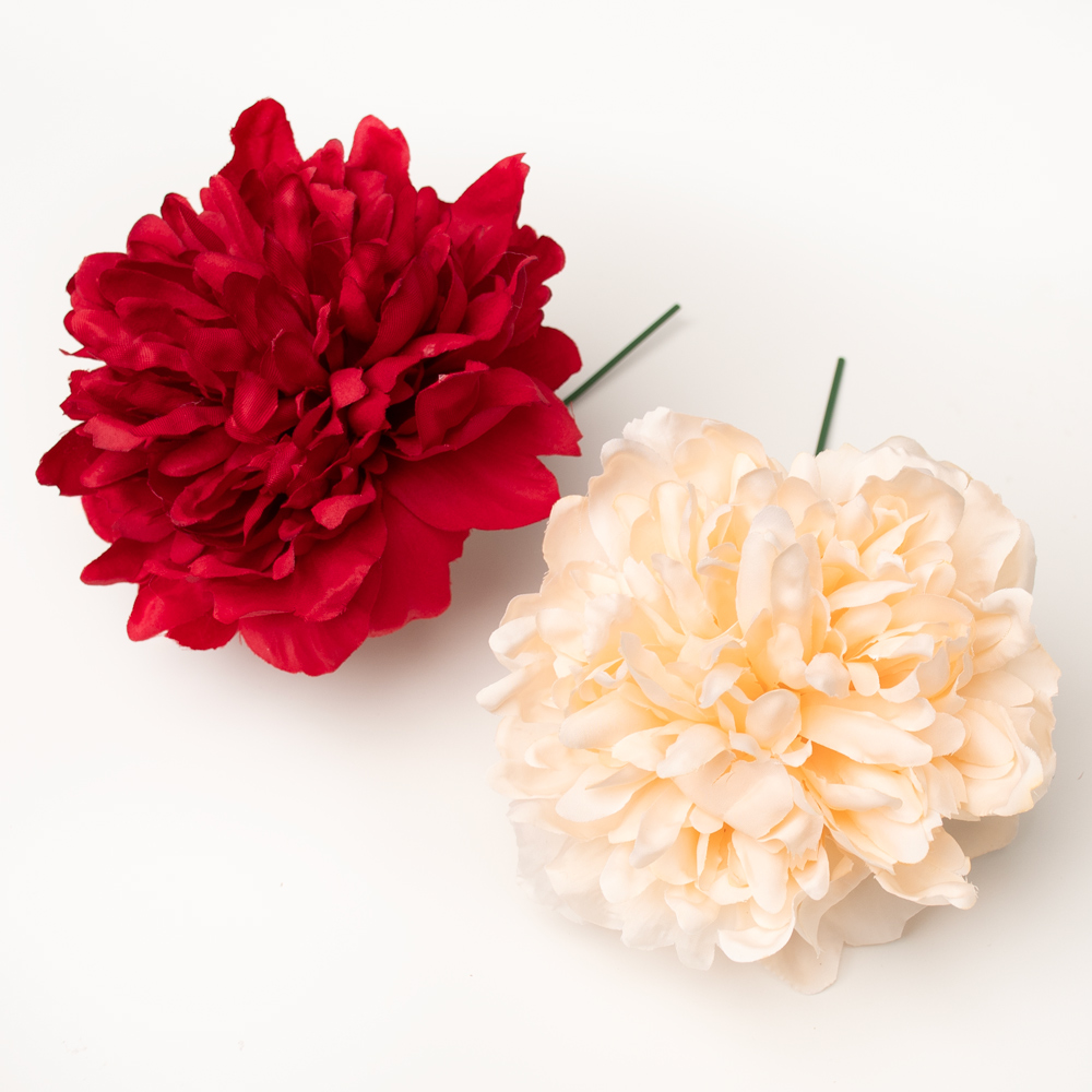 Flor Peonia Flamenca