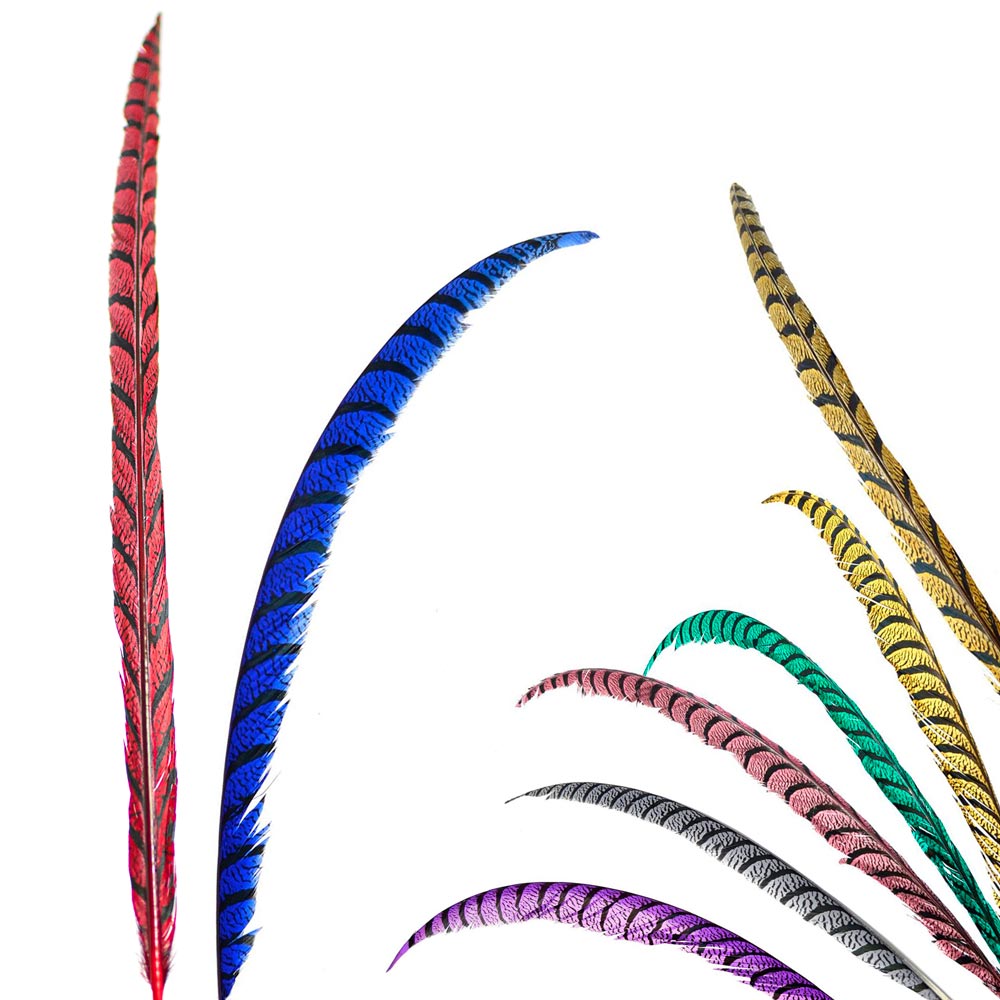 Pluma Faisan Centro, 71-90 cm