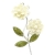 005-BLANCO ROTO