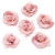 091-ROSA