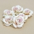 843-BEIGE & CRUDO & ROSA NUDE