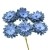 358-AZULES