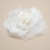 005-BLANCO ROTO