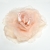 105-ROSA EMPOLVADO