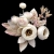 843-BEIGE & CRUDO & ROSA NUDE
