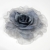 011-GRIS