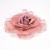 094-ROSA NUDE