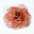 099-ROSA SALMON