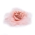 105-ROSA EMPOLVADO