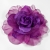 132-MORADO