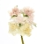 538-CRUDO & ROSA VINTAGE