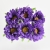 132-MORADO
