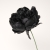 001-NEGRO