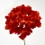 070-ROJO