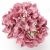 102-ROSA VINTAGE