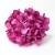 110-FUCSIA BUGANVILLA