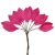 108-FUCSIA