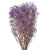 132-MORADO